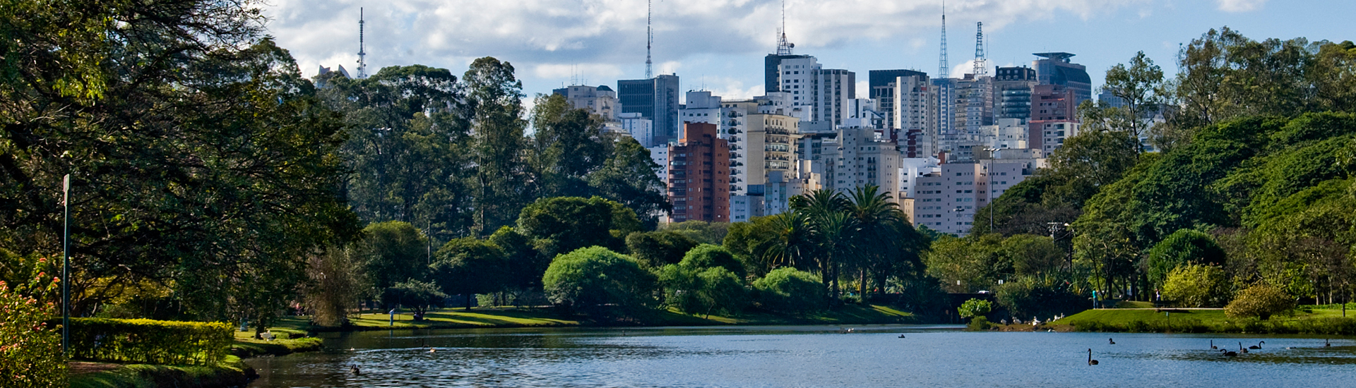 Paisagem da cidade de São Paulo, com lago, árvores e vários prédios ao fundo.