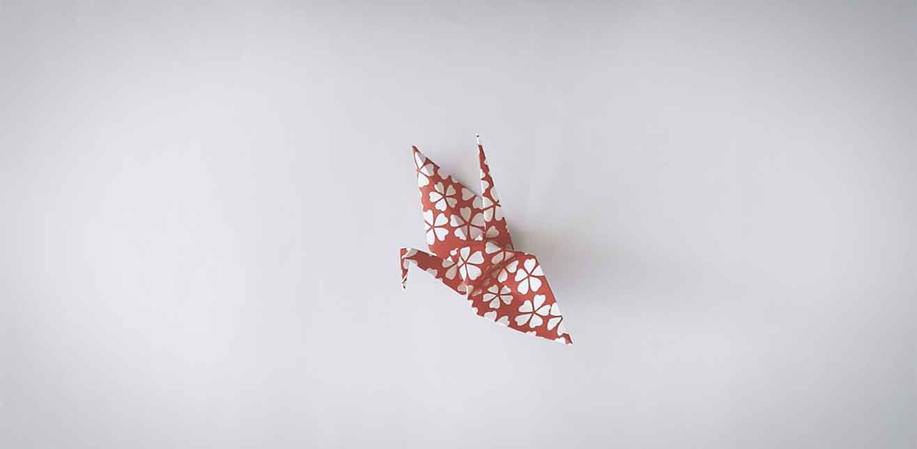 Origami: Passo a Passo de um Tsuru