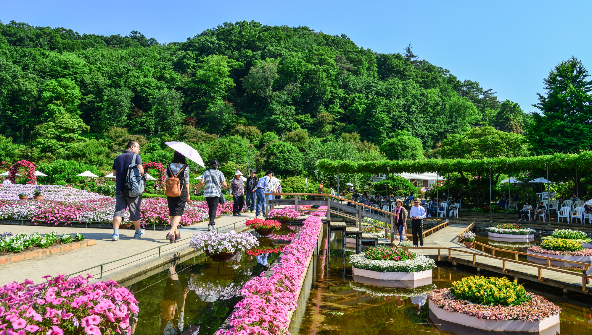 Parque das Flores de Ashikaga