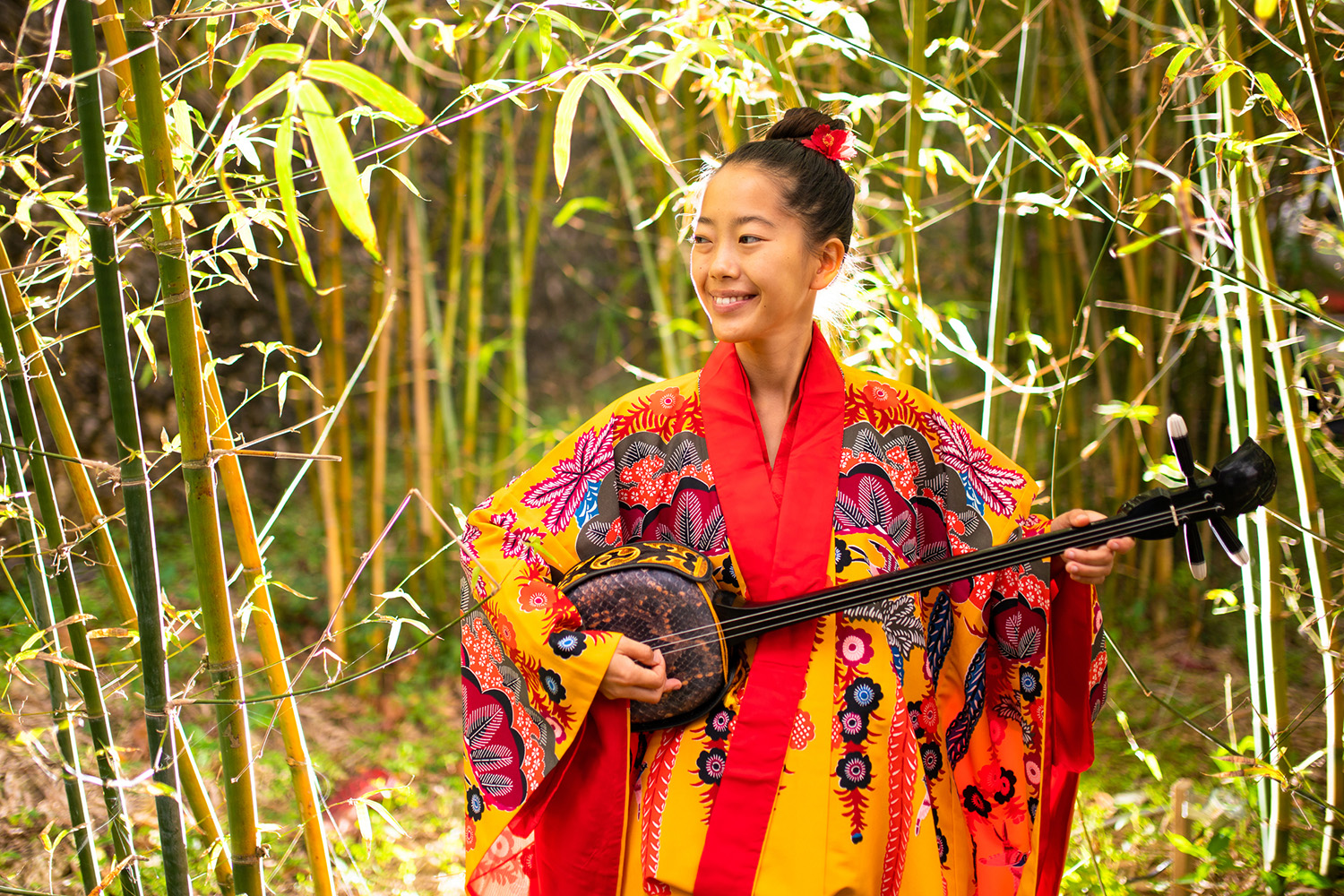 Menina vestida com um kimono estampado nas cores veremelha, amarelo e azul, segura um sanshin - instrumento musical de 3 cordas. Ao fundo, plantação de bambu.