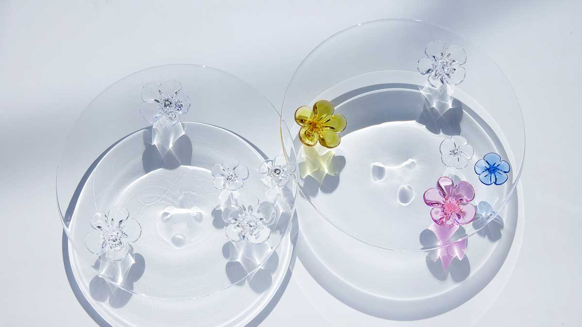 Edo Glass: pratos de vidro sobre mesa branca