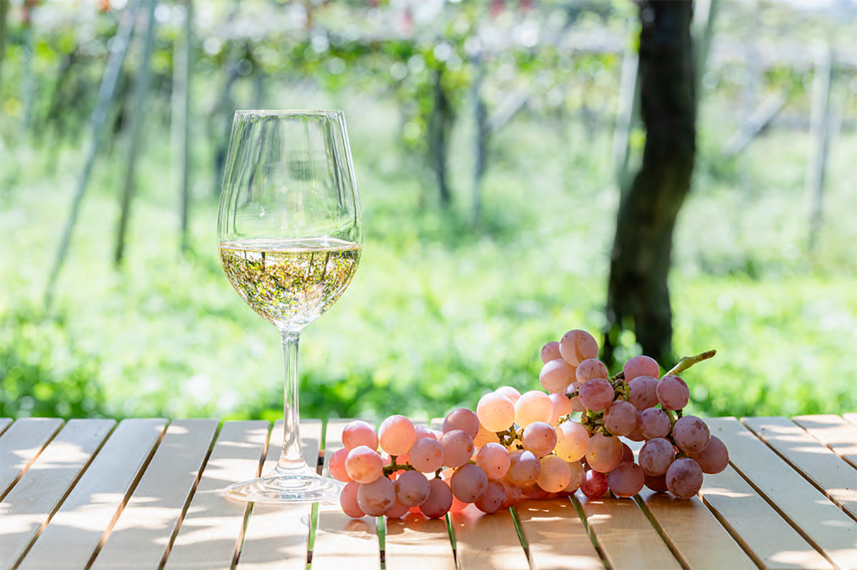 Taça de vinho branco com uma paisagem natural ao fundo. 