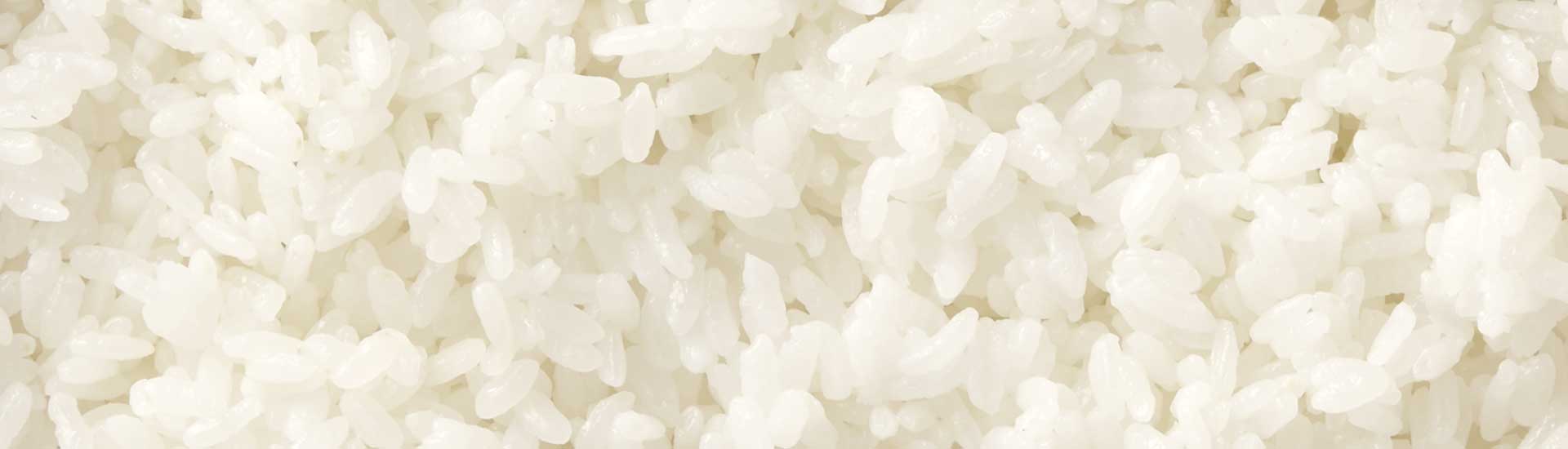 Fotografia de detalhes de grãos de arroz